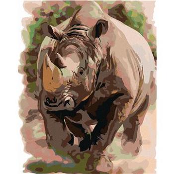 Maľovanie podľa čísel – Nosorožec (HRAmal00906nad)
