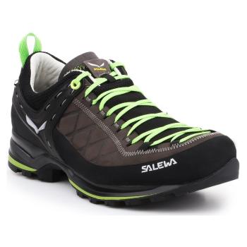 Salewa  MS MTN Trainer 2 L 61357-0471  Turistická obuv Viacfarebná