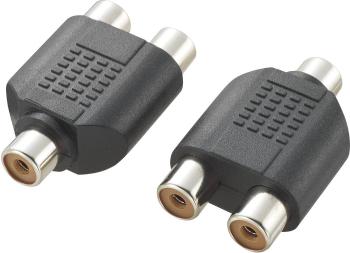 SpeaKa Professional SP-2873360 KR1248 cinch audio Y adaptér [1x cinch zásuvka - 2x cinch zásuvka] čierna