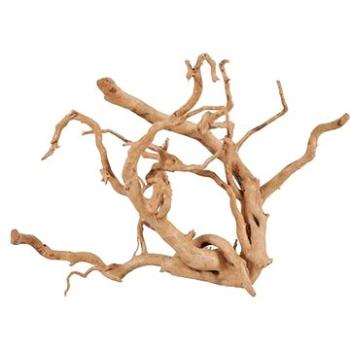 Zolux Spider root prírodné naplavené drevo 30 – 40 cm (3336023560519)