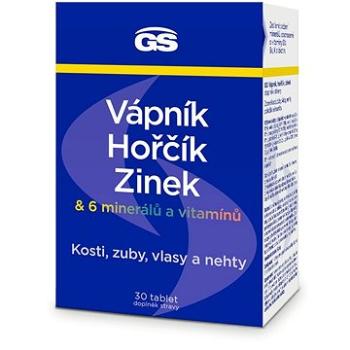 GS Vápnik horčík zinok Premium tbl. 30 (3206670)