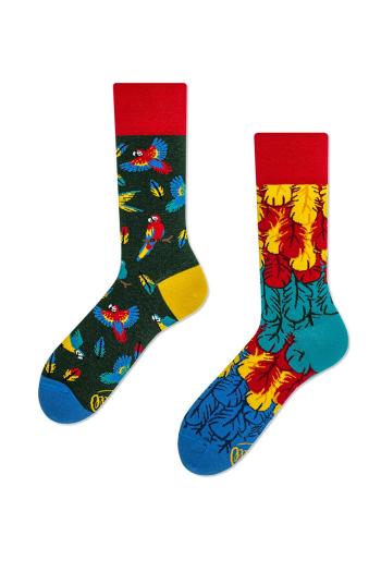 Viacfarebné vzorované ponožky Paradise Parrot