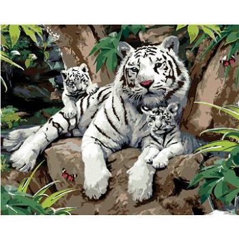 Maľovanie podľa čísel – Biely tiger s mláďatami na kameni (Howard Robinson) (HRAbz33431nad)