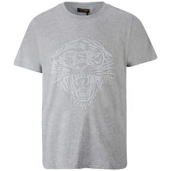 Ed Hardy  Tričká s krátkym rukávom Tiger glow t-shirt mid-grey  Šedá