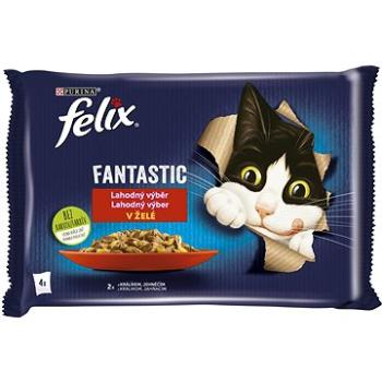 Felix Fantastic s králikom a jahňacím v želé 4× 85 g (7613039757086)