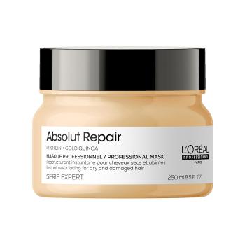 L´Oréal Professionnel Intenzívne regeneračná maska pre poškodené vlasy Serie Expert Absolut Repair Gold Quinoa + Protein (Instant Resurfacing Mask) 250 ml