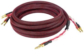 Dynavox 207298  audio prepojovací kábel [2x banánková zástrčka - 2x banánková zástrčka] 3 m čierna/červená