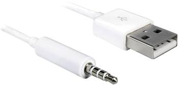 Delock Apple iPad / iPhone / iPod prepojovací kábel [1x USB 2.0 zástrčka A - 1x jack zástrčka 3,5 mm] 1.00 m biela