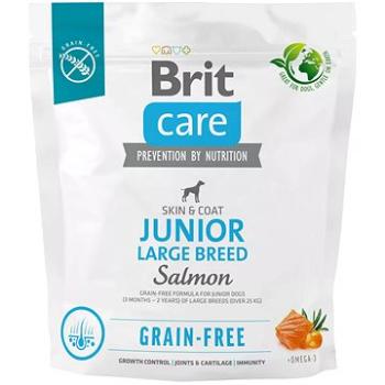 Brit Care Dog Grain-free s lososom Junior Large Breed 1 kg (8595602558889)