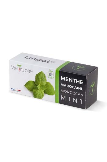 Náplň so semienkami Veritable Moroccan Mint