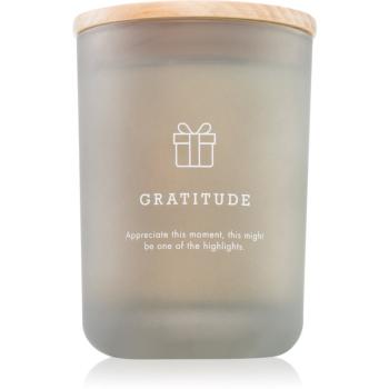 DW Home Hygge Gratitude vonná sviečka 210 g