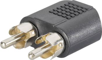 SpeaKa Professional SP-7869756  cinch / jack audio Y adaptér [2x cinch zástrčka - 1x jack zásuvka 3,5 mm] čierna