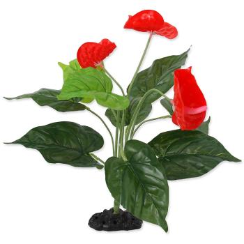 Rostlina REPTI PLANET kvetoucí Anthurium 40 cm 1 ks