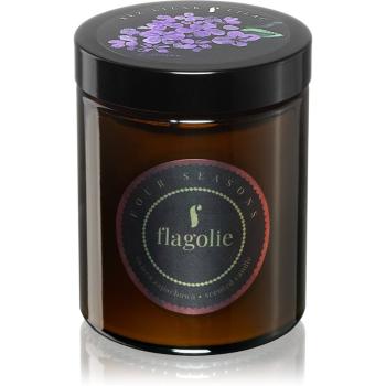 Flagolie Four Seasons Elderberry vonná sviečka 120 g