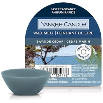 YANKEE CANDLE Bayside Cedar 22 g (5038581134772)