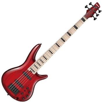 Ibanez ANB205-TWB Transparent Wine Red Burst