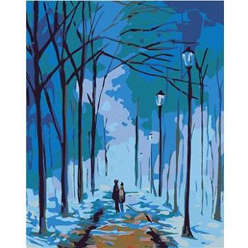 Maľovanie podľa čísel – Zimná prechádzka pod lampami (HRAmal01022nad)