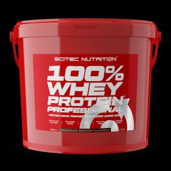Scitec Nutrition 100% Whey Protein Professional 5000 g chocolate coconut