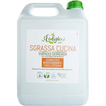 ICEFOR LEcologico Sgrassa Cucina 5 l (8017841801231)