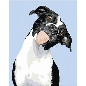 Maľovanie podľa čísel – Čiernobiely pes a vyplazený jazyk (HRAmal00753nad)