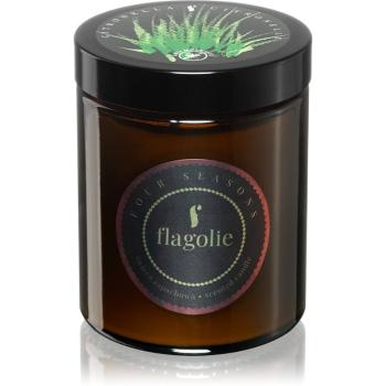 Flagolie Four Seasons Citronella vonná sviečka 120 g