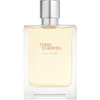 HERMÈS Terre d’Hermès Eau Givrée parfumovaná voda pre mužov 100 ml