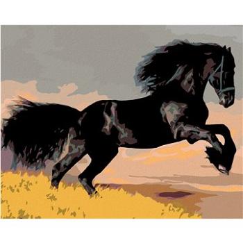 Maľovanie podľa čísel – Čierny kôň (HRAmal00706nad)