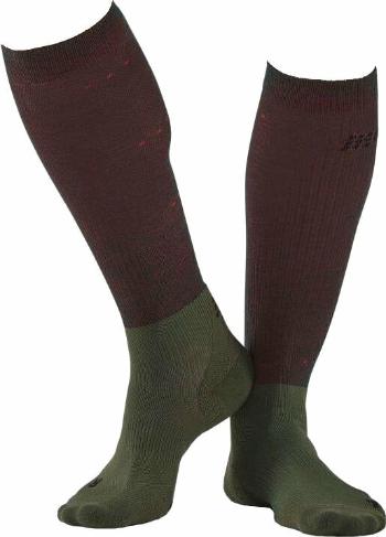 CEP WP30T Recovery Tall Socks Men Forest Night V