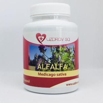 Alfalfa - lucerna 90 cps
