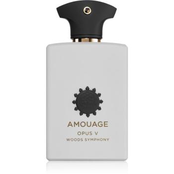 Amouage Opus V: Woods Symphony parfumovaná voda unisex 100 ml