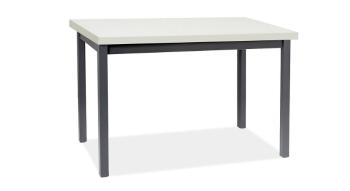 Signal Jedálenský stôl ADAM | 120 x 68 cm Farba: biely mat / čierna