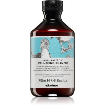 Davines Naturaltech Well-Being Shampoo šampón pre všetky typy vlasov 250 ml