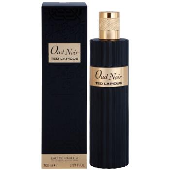 Ted Lapidus Oud Noir parfumovaná voda unisex 100 ml