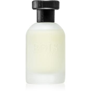 Bois 1920 Vetiver Ambrato parfumovaná voda unisex 100 ml