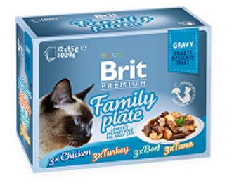 Brit Premium Cat D Fillets in Gravy Family Plate 1020g