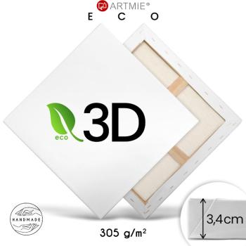 3D maliarske plátno na ráme EKO light