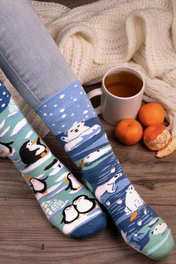 Modré ponožky Penguins & Polar Bears