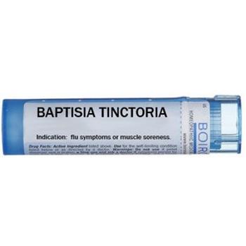 Boiron Baptisia Tinctoria CH5 granule 4 g