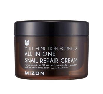 Mizon All In One Snail Repair Cream 120 ml