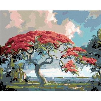 Maľovanie podľa čísel – Červený bonsaj (HRAmal00236nad)