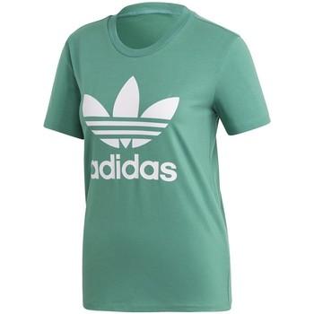 adidas  Tričká s krátkym rukávom Trefoil Tee  Zelená