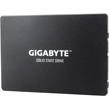 GIGABYTE 240GB SSD (GP-GSTFS31240GNTD)