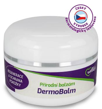 Přírodní balzám DermoBalm 50 ml