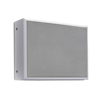 Apart 6"surface mounted speaker made of high density MDF with a steel grille (RA