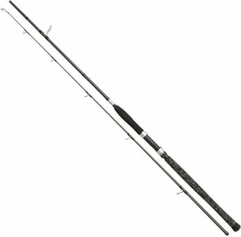 Penn Legion Cat Silver Spin Prút 2,4 m 40 - 160 g 2 diely