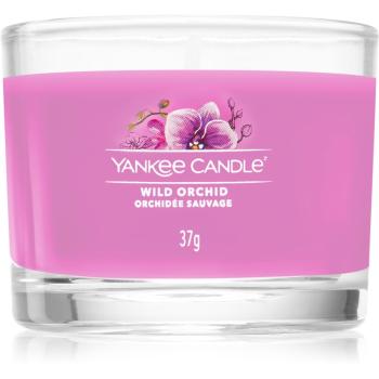 Yankee Candle Wild Orchid votívna sviečka glass 37 g