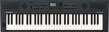 Roland GO:KEYS 5 Keyboard s dynamikou Graphite