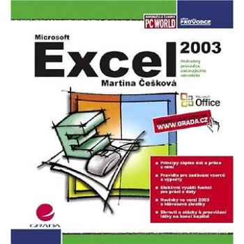 Excel 2003 (80-247-0790-X)