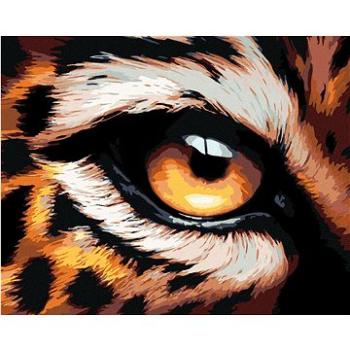 Maľovanie podľa čísel - Leopardie oko (HRAbz33257nad)