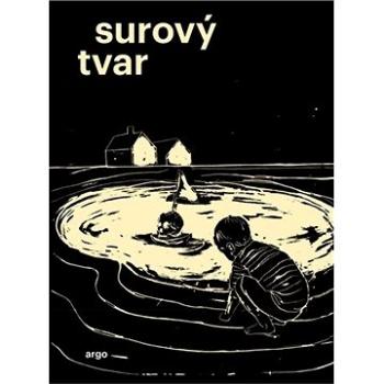 Surový tvar (9788025737187)